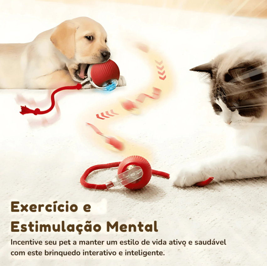 PetHunt brinquedo interativo